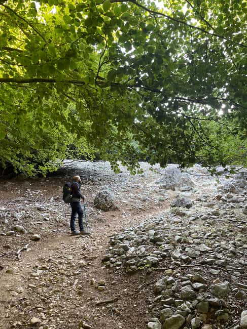 On the roof of the Madonie: Day trip to the summit of Pizzo Carbonara - Key Points