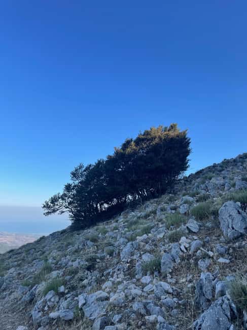 On the roof of the Madonie: Day trip to the summit of Pizzo Carbonara - From Forests to Summit: The 9 km Trail
