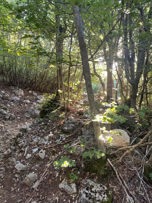 On the roof of the Madonie: Day trip to the summit of Pizzo Carbonara - Frequently Asked Questions