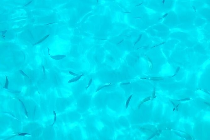 One and a half hour boat excursion to Scala Dei Turchi - Returning to the Port and Free Time After the Swim