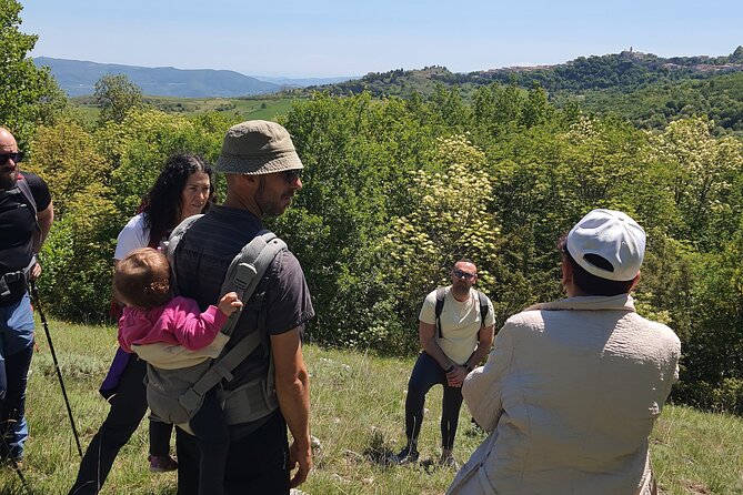 One day cheese making and tasting experience - Encountering Farm Animals and the Archaeological Site of Juvanum
