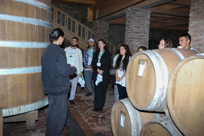 One Day Kakheti Tour with Wine Tasting and Free Churchkhela - Practical Details: Transport, Guide, and Booking