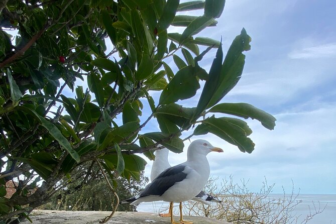 One Day Mont-Saint-Michel and Landing Beaches Tour - Visiting Omaha Beach and Its Memorial