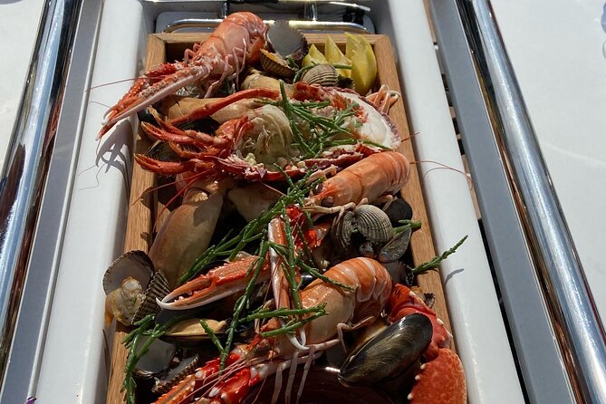 One Day Private Sailing from Oban Marina with Lunch - Wildlife Encounters: Dolphins and Marine Life