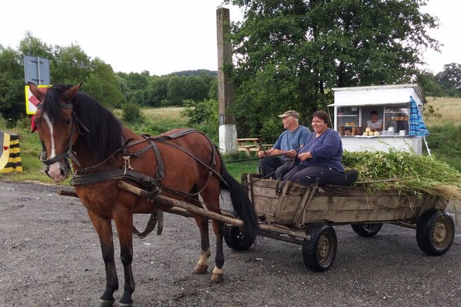 One Day Private Tour to Peles and Dracula Castles & Brasov City - Logistics: Pickup, Transport, and Group Size
