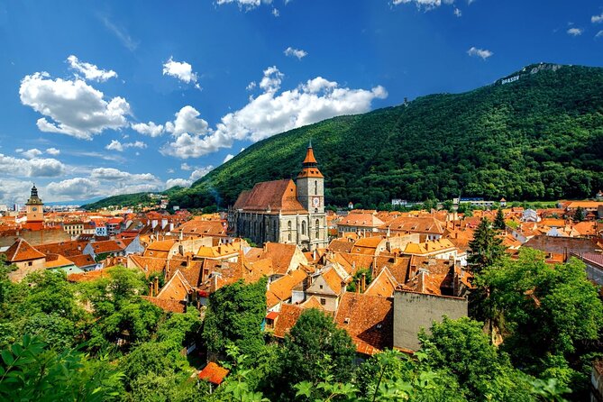 One Day Private Tour to Peles and Dracula Castles & Brasov City - Value and Cost: All-Inclusive with Flexibility