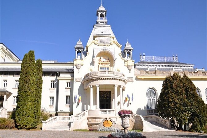 One Day Private Tour to Peles and Dracula Castles & Brasov City - Accessibility and Physical Requirements