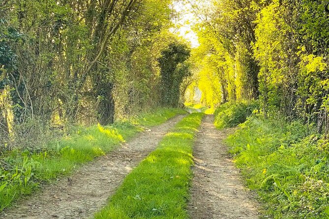 One Day Road Trip from London to The Cotswolds - Accessibility and Suitability for All Travelers