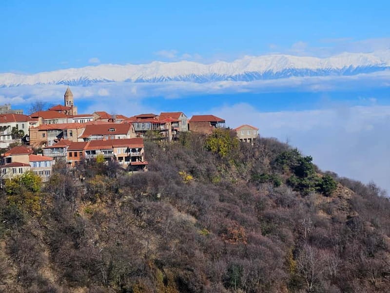 One-day tour in Kakheti with a guide and free wine tasting - Discovering the Town of Sighnaghi