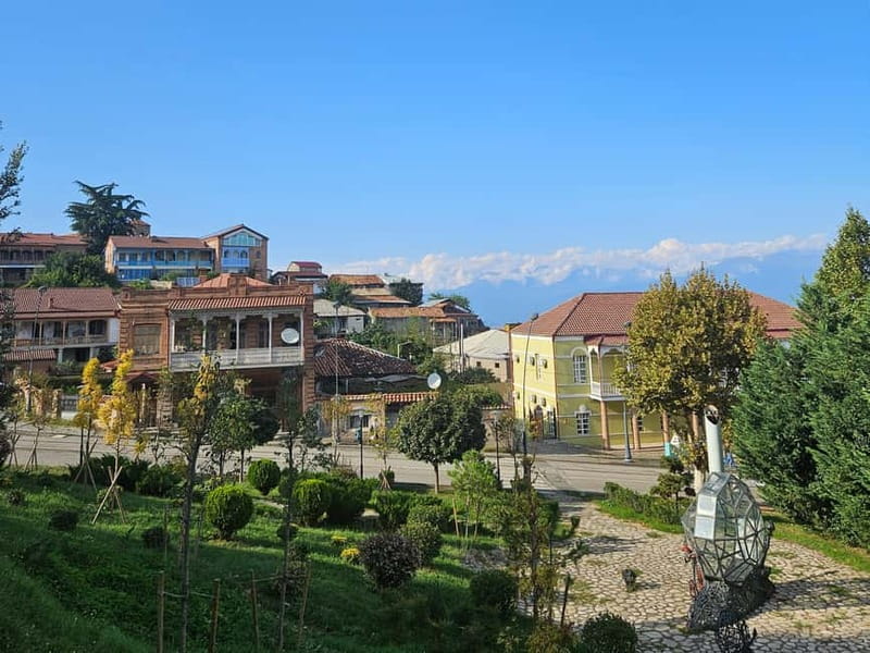 One-day tour in Kakheti with a guide and free wine tasting - Logistics and Practical Tips