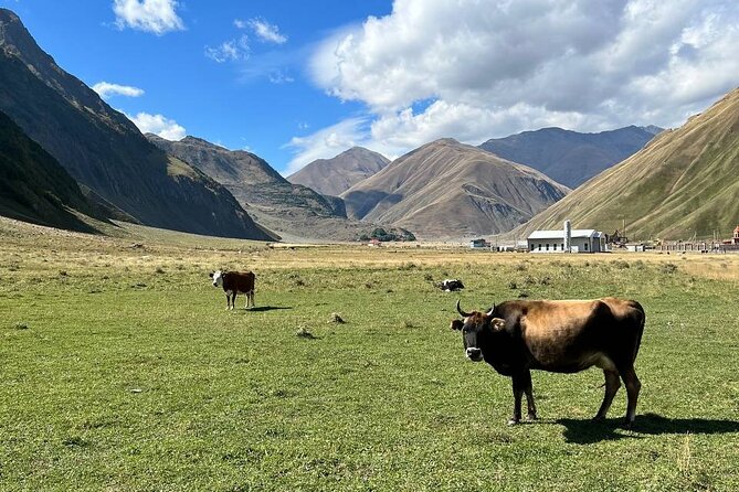 One-day tour to the Magnificent Kazbegi - Confluence of the Aragvi Rivers at Pasanauri