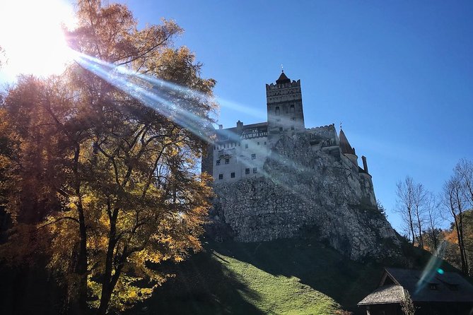 One day trip Bear Sanctuary, Dracula Castle, Rasnov Fortress from Brasov - The Experience of the Guide and Overall Atmosphere