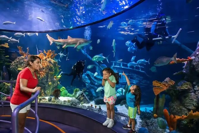 One Day Value Pass - Discover All-Inclusive Access to Moody Gardens in Galveston