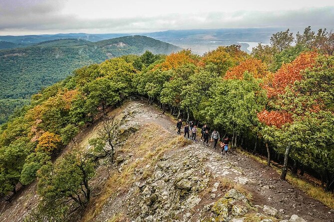 One Day Wonder Hiking Trip - The Experience Provider and Booking Details