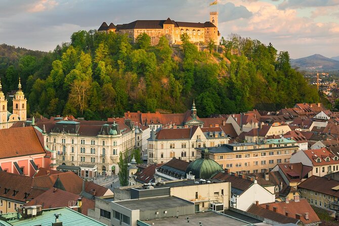 One guide - two ports - tours from Koper and Trieste - Physical Fitness and Accessibility Considerations