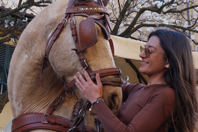 One-hour tour through the historic center and half Renaissance walls - Discover Lucca’s Historic Charm in Just One Hour