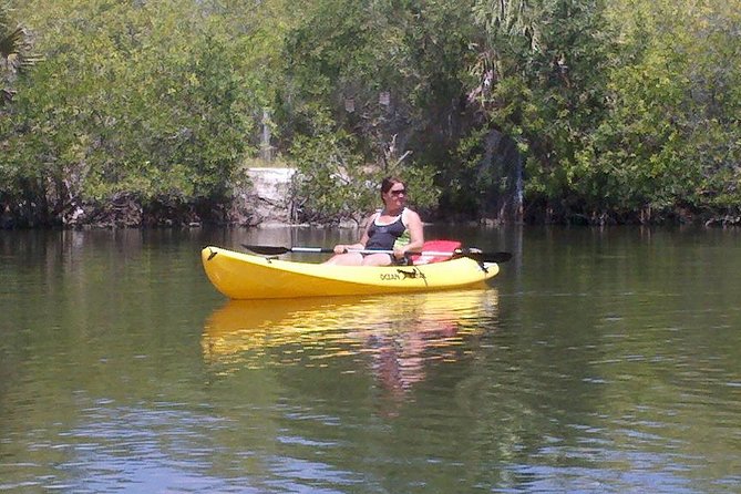 One Single Kayak Rental for 2 hours with Manatee & Dolphin sightings! - All Necessary Equipment is Included