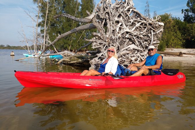 One Single Kayak Rental for 2 hours with Manatee & Dolphin sightings! - The Diversity of Wildlife and Islands to Explore