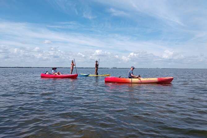 One Single Kayak Rental for 2 hours with Manatee & Dolphin sightings! - Practical Logistics and Accessibility
