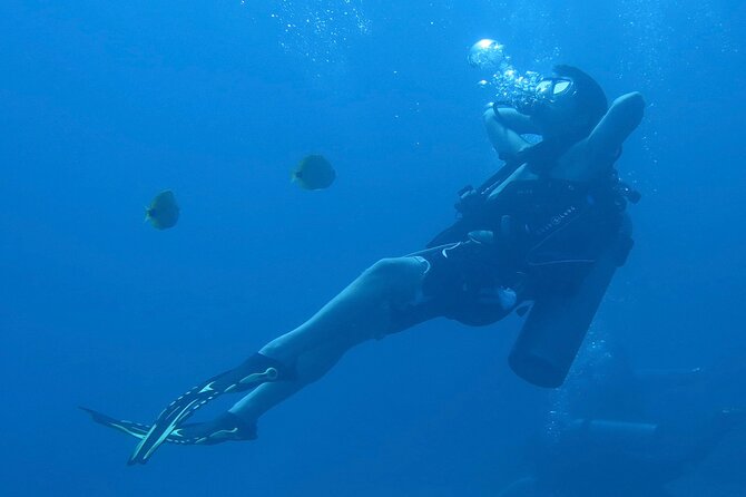One Tank Boat Dive - Sea Turtles & Tropical Reef - Starting Point at Hilo Ocean Adventures