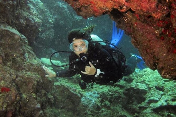 One Tank Boat Dive - Sea Turtles & Tropical Reef - Physical and Safety Considerations