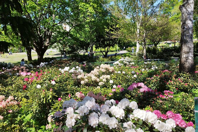 One Up to 3 Rickshaws(6 People)-Taylor Made Rickshaw Berlin Tour - Remembering the Past at Bebelplatz
