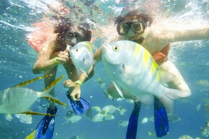 One Way Airport Transfer from SJD-Hotel or Hotel-SJD Cabo San Lucas Zone - Vehicle Options and Capacity