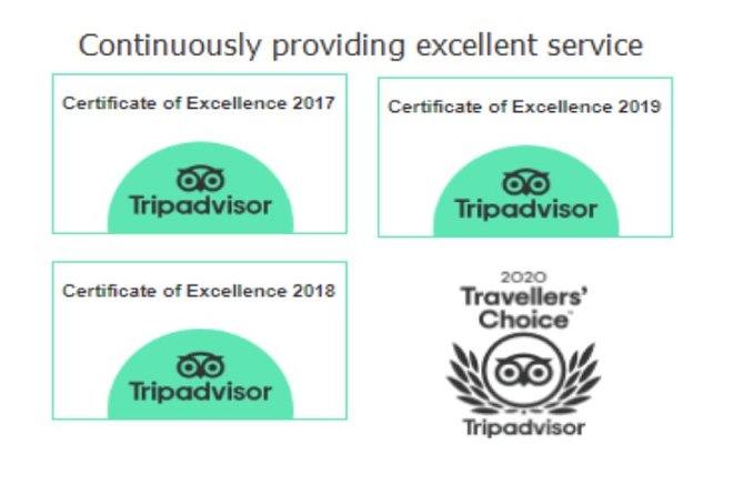 One Way or Round Trip Private Transfer from London to Southampton Cruise Port - Convenient Private Transfers Between London and Southampton Cruise Port