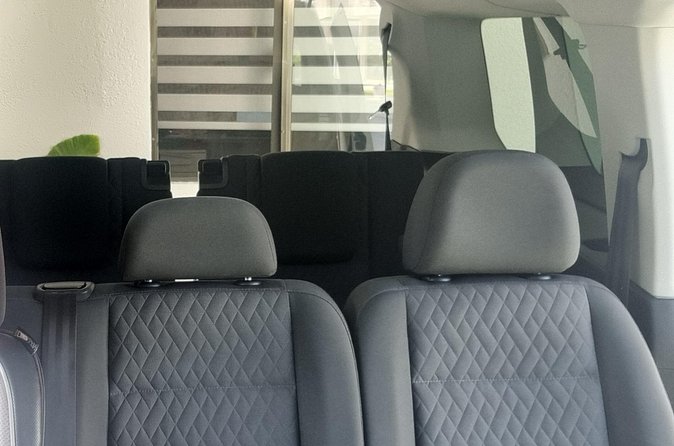 One way private transfer Bahia Principe area - What Makes This Transfer Suitable for Your Trip