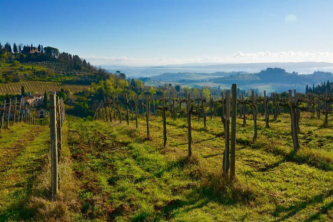 One Way Private Transfer: Florence to Rome with Visit to San Gimignano and Siena - Logistics, Timing, and Pacing on this Tour