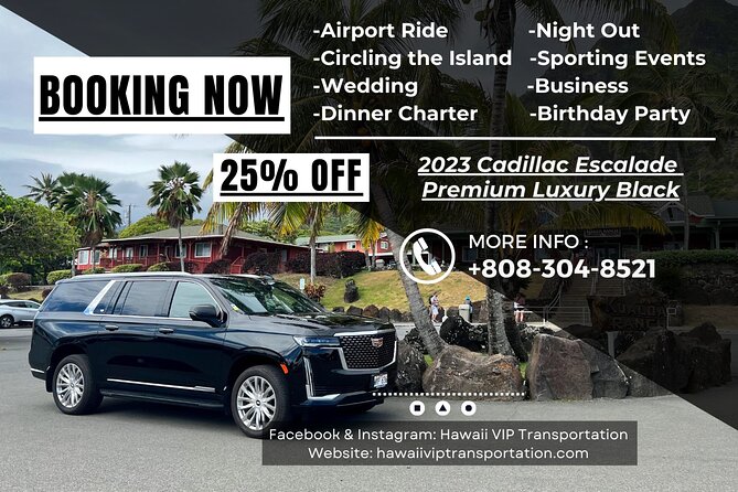 One-Way VIP Transfer: Honolulu Airport, Waikiki, Cruise Port - Optional Extras for a Personalized Welcome