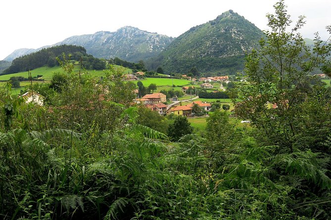 One Week Spanish Course At Your Tutor's Home In The North Of Spain - Key Points