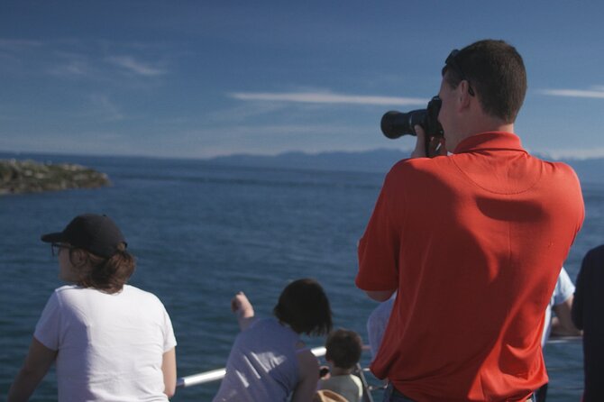 Only Wildlife and Whale Watching Tour Leaving from Seattle - Seating Options and Viewing Experience