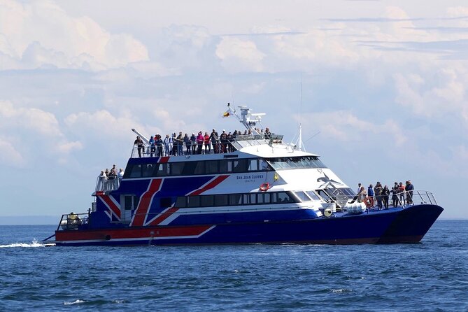 Only Wildlife and Whale Watching Tour Leaving from Seattle - Practical Tips and Considerations