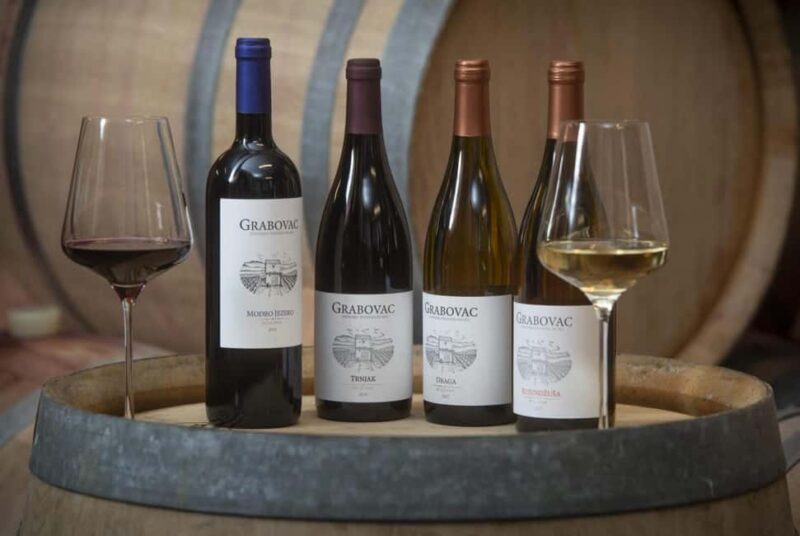 Open Panoramic Bus Tour +Guided Walking Tour in 10 languages - Key Points