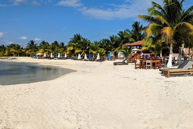 Open Top City Tour & Beach Break - Key Points