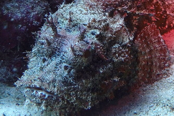 Open Water Certification Course-PADI - Logistics and Meeting Arrangements