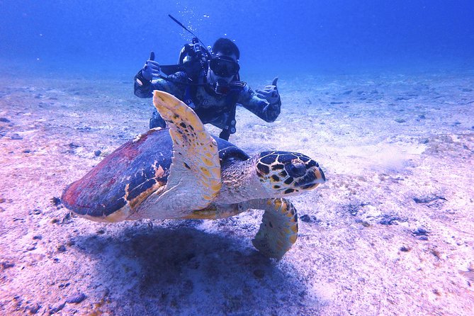 Open Water Certification Course-PADI - The Certification Process and Completion