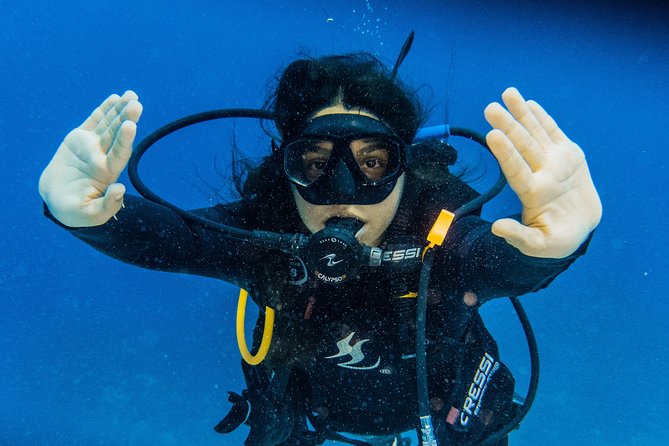 Open Water Course Cozumel - The Experience of Learning with Be Diving