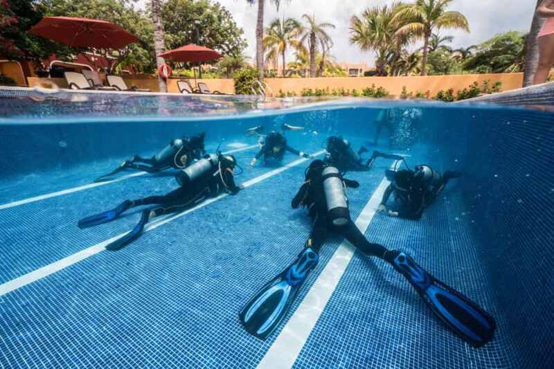 Open Water Course  Dive Machine Experience - The Certification and Its Global Validity