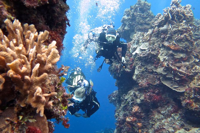 Open Water Diver course PADI in Cancun - The Experience with Diversland Mexico
