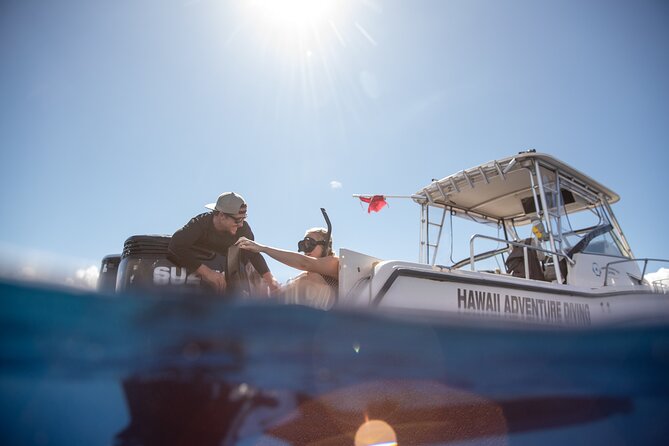 Open Water Shark Dive - The Small Group Advantage and Safety Measures