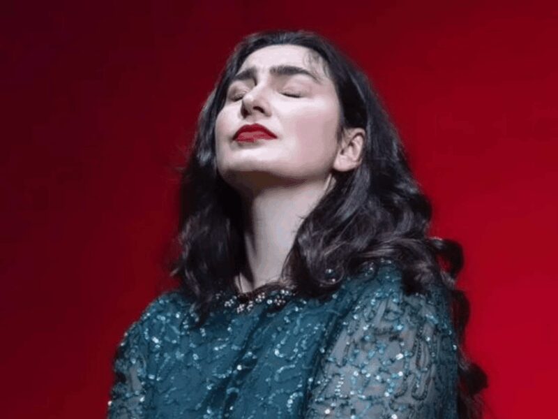 Opera Concert in Verona Palace with Prosecco - The Concert: An Evening of Opera Highlights