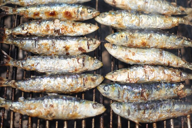 Ophelia Catamaran Cruises + Beach BBQ - Visiting the Benagil Caves by Small Boat