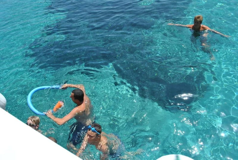 Orak island Boat Trip Bodrum - Practical Details: What to Bring and How to Prepare