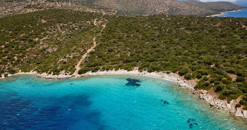 Orak island Boat Trip Bodrum - Frequently Asked Questions