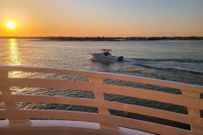 Orange Beach: Dolphin Cruise - What Makes the Dolphin Cruise Stand Out in Orange Beach