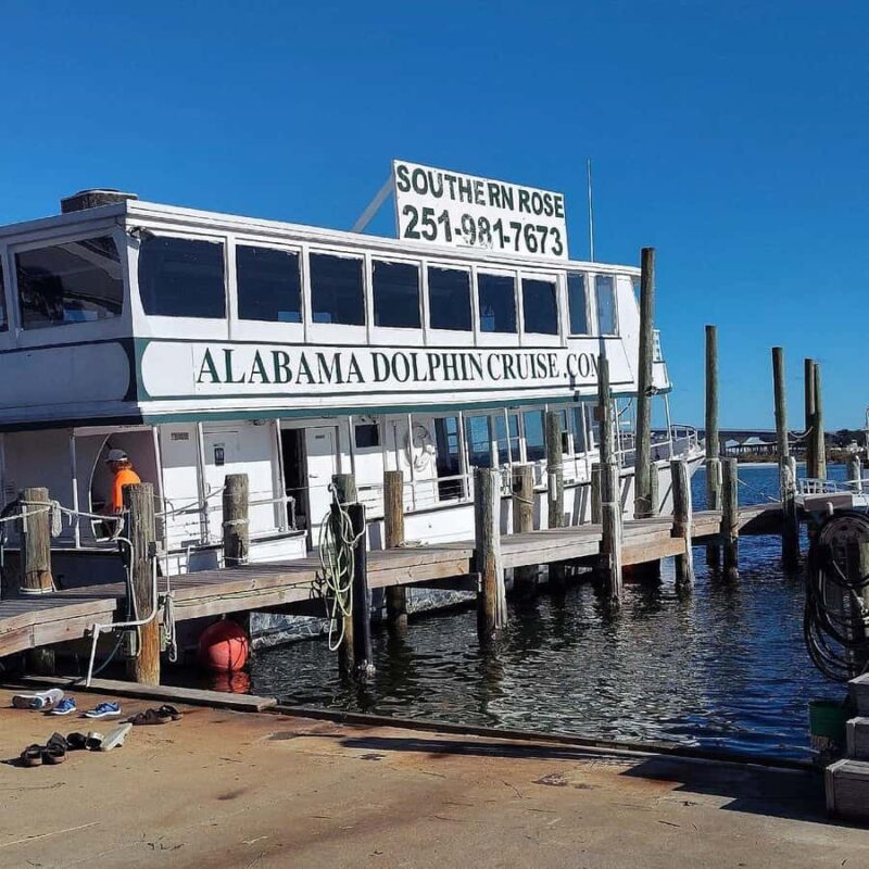 Orange Beach: Dolphin Cruise - Pricing, Booking, and Cancellation Policies