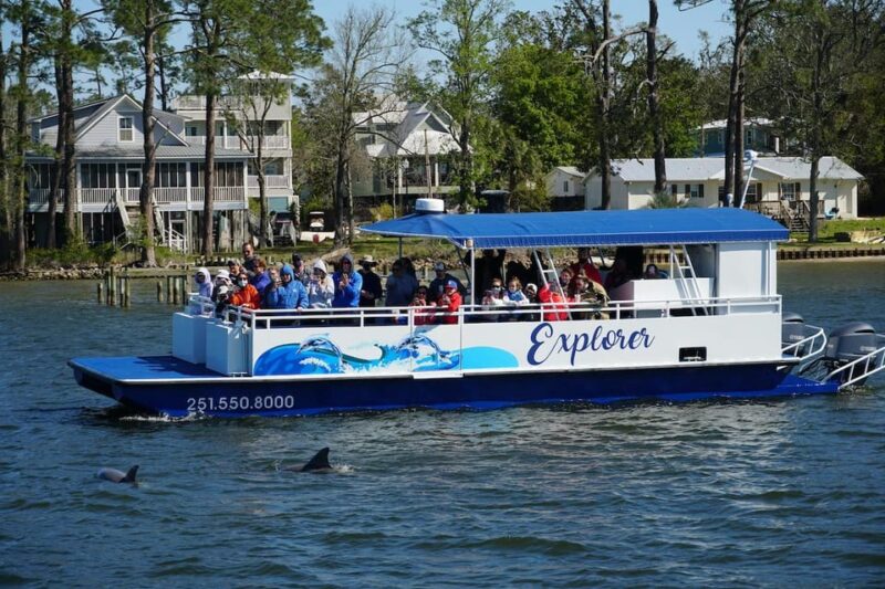 Orange Beach: Dolphin Eco Sunset Cruise aboard The Explorer - Key Points