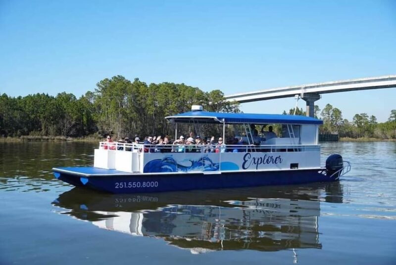 Orange Beach: Dolphin Eco Sunset Cruise aboard The Explorer - Departing from a Central Orange Beach Location